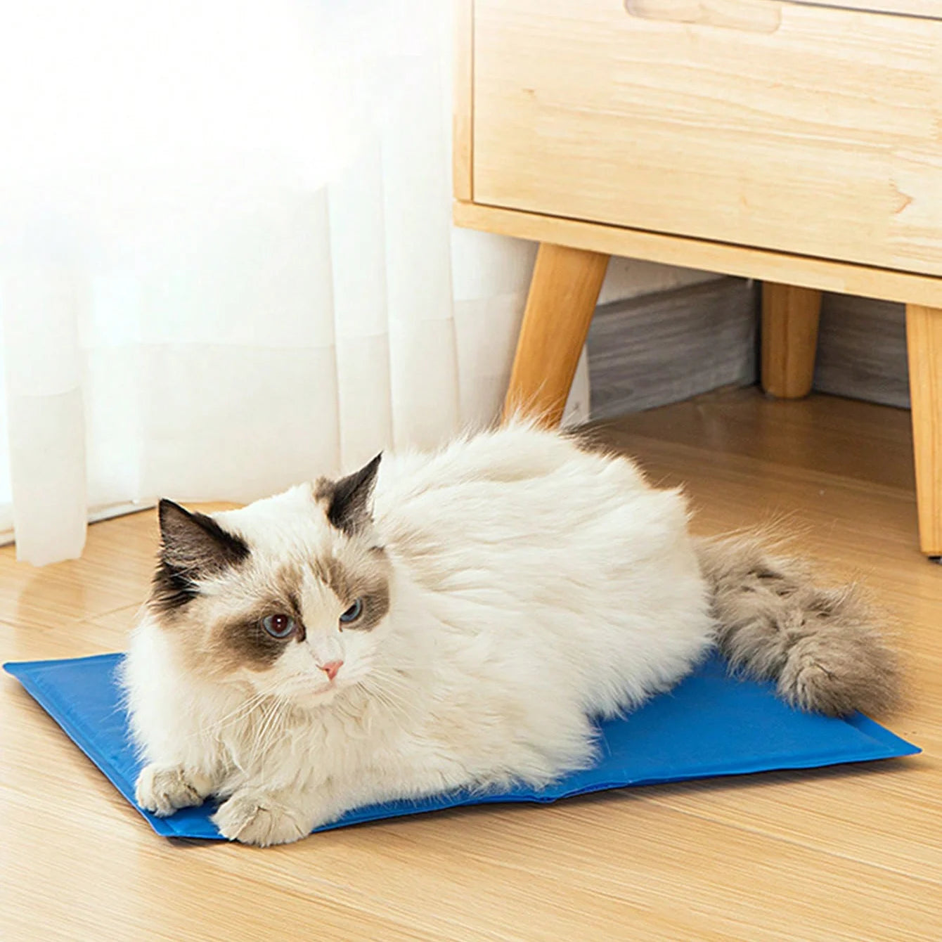 Tapis rafraîchissant pour chien, 1 pièce, coussin auto-rafraîchissant pour soulager la chaleur estivale