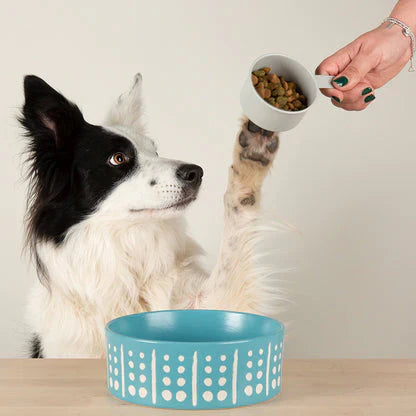 Bowls & Smart Feeding