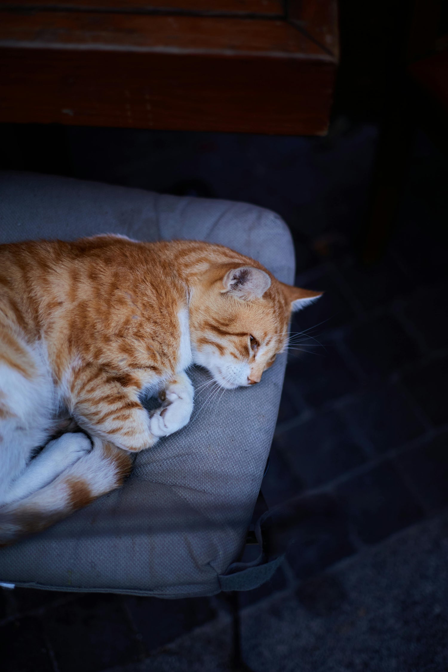 Comfort & Beds