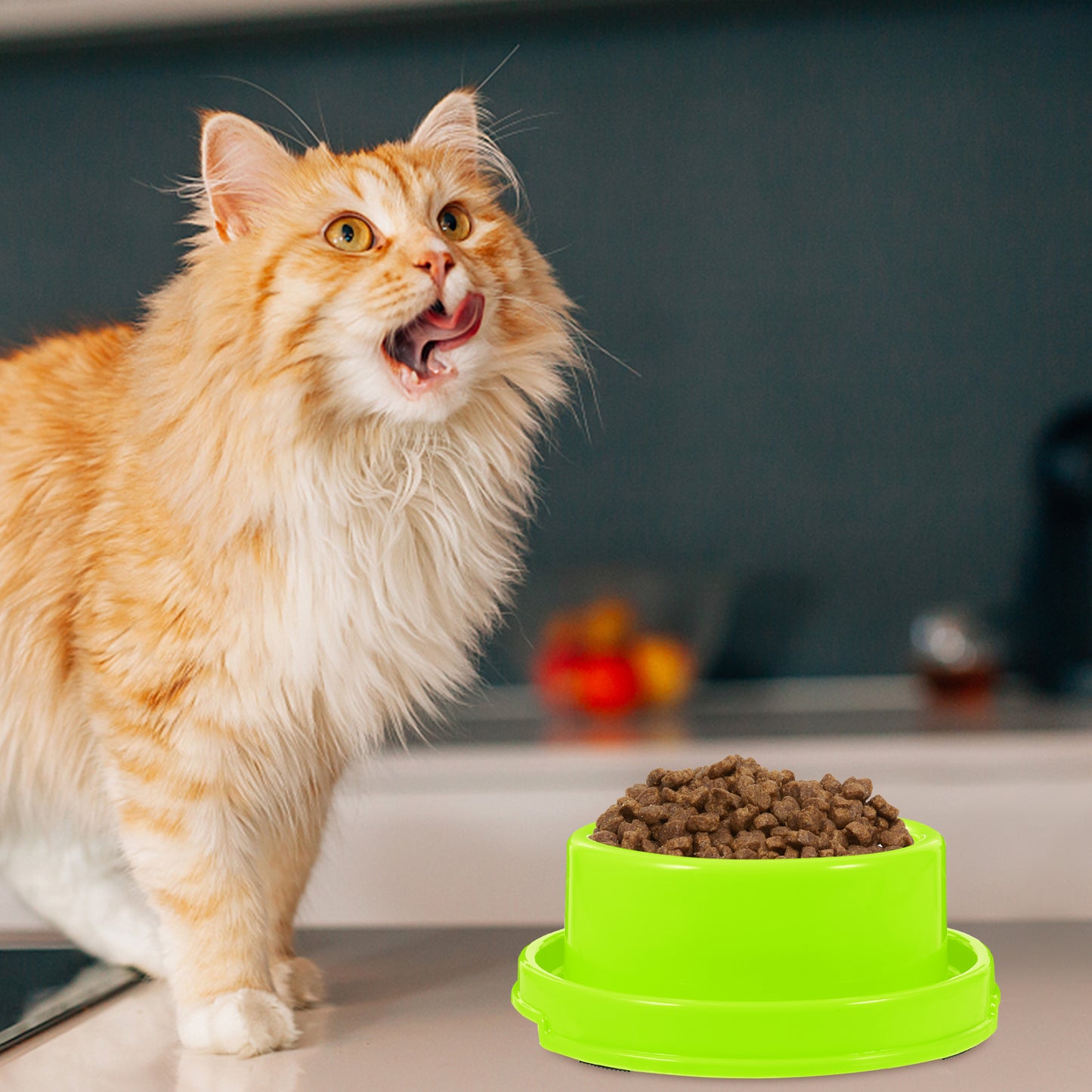 Gamelles pour chien et chat, distributeur de nourriture pour animaux de compagnie, mangeoire anti-fourmis et anti-eau, gamelle pour chiots, gamelle d'extérieur en acier inoxydable pour chiens