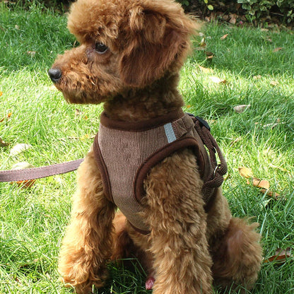 Ensemble gilet et laisse réfléchissants pour chien, coupe-vent, en velours côtelé, sangle de poitrine réglable, harnais en maille respirante pour chiens
