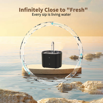 Fontaine à eau pour chat, fontaine à eau pour animaux de compagnie pour chats à l'intérieur, 1 filtre, pompe ultra-silencieuse, fontaine à eau pour chien et animal de compagnie de 2,2 L/73 oz