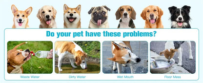 Gamelles flottantes pour chiens et chats, 2 L, anti-éclaboussures, grande capacité, pour petits, moyens et grands chiens.