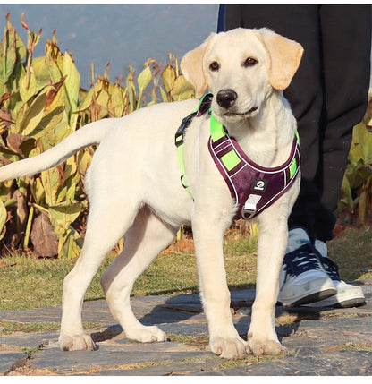 Ensemble harnais et laisse pour chien résistants, sangle réfléchissante, sangles de poitrine et de dos réglables, équipement de sécurité pour animaux | Harnais réglable pour chien