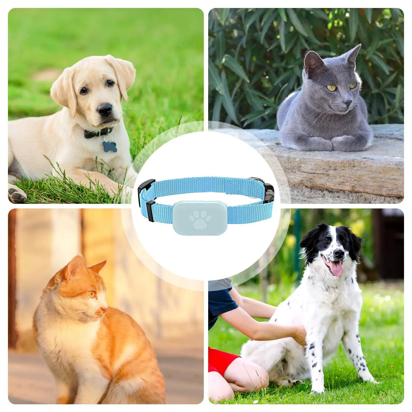 Collier GPS pour chats et chatons avec suivi, protection de sécurité, batterie longue durée, fournitures de localisation pour animaux de compagnie