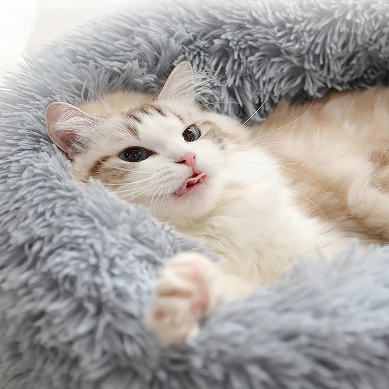 Kimpets Panier rond pour chat et chien, niche antidérapante pour l'hiver, chaud et moelleux, coussin pour chiot