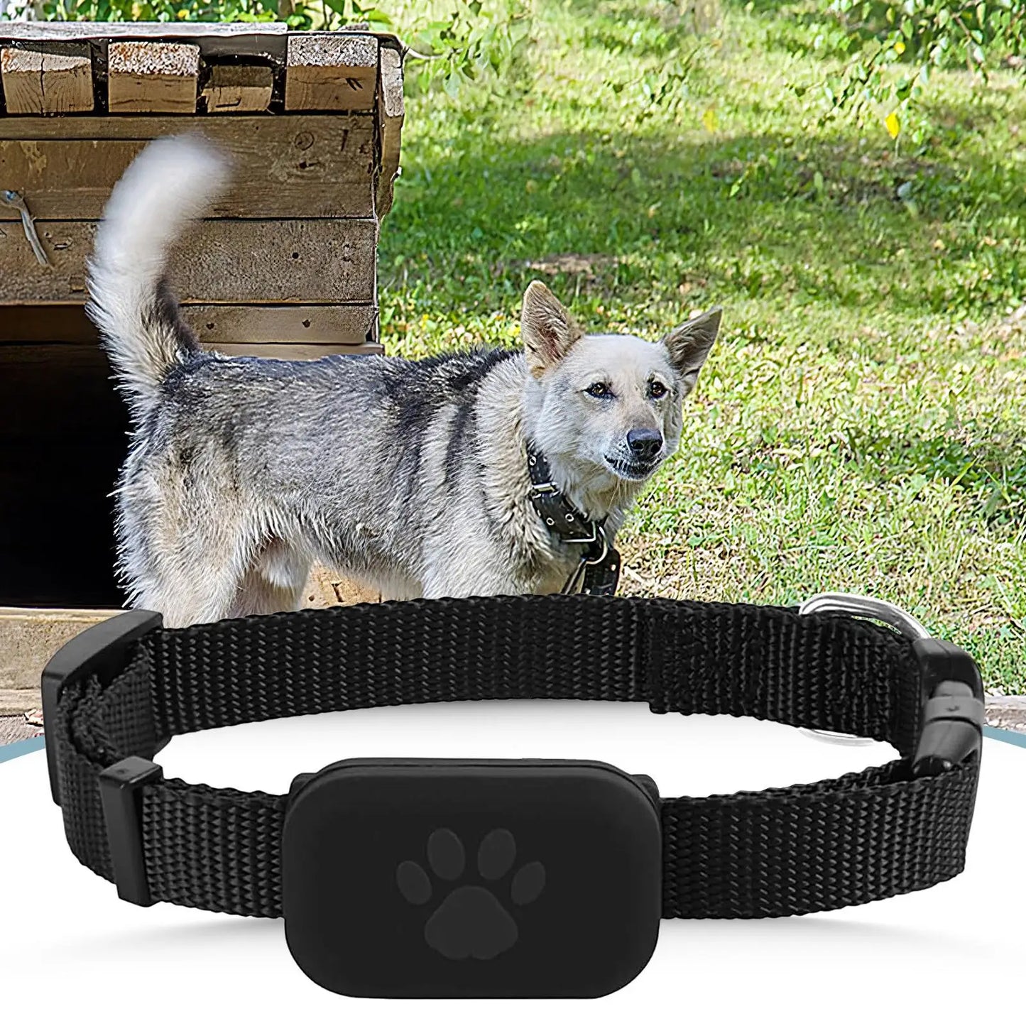 Collier GPS pour chats et chatons avec suivi, protection de sécurité, batterie longue durée, fournitures de localisation pour animaux de compagnie