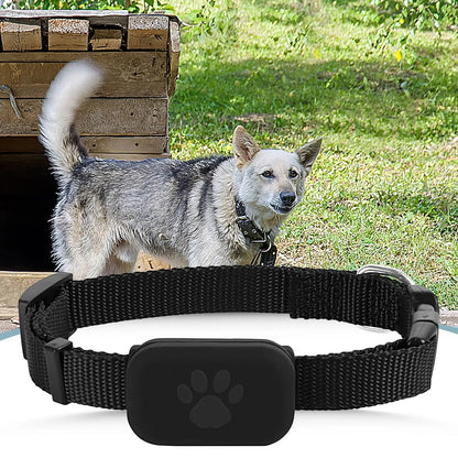 Collier GPS pour chats et chatons avec suivi, protection de sécurité, batterie longue durée, fournitures de localisation pour animaux de compagnie