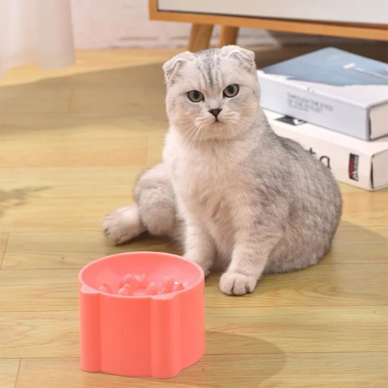 Gamelle anti-étouffement pour chien et chat, petit format, protection du cou, dispositif d'alimentation pour chat et chien, fournitures pour animaux de compagnie