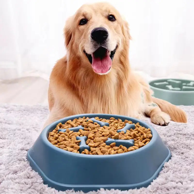 Gamelles à alimentation lente pour chiens, anti-étouffement, antidérapantes, pour petits et moyens chiens.