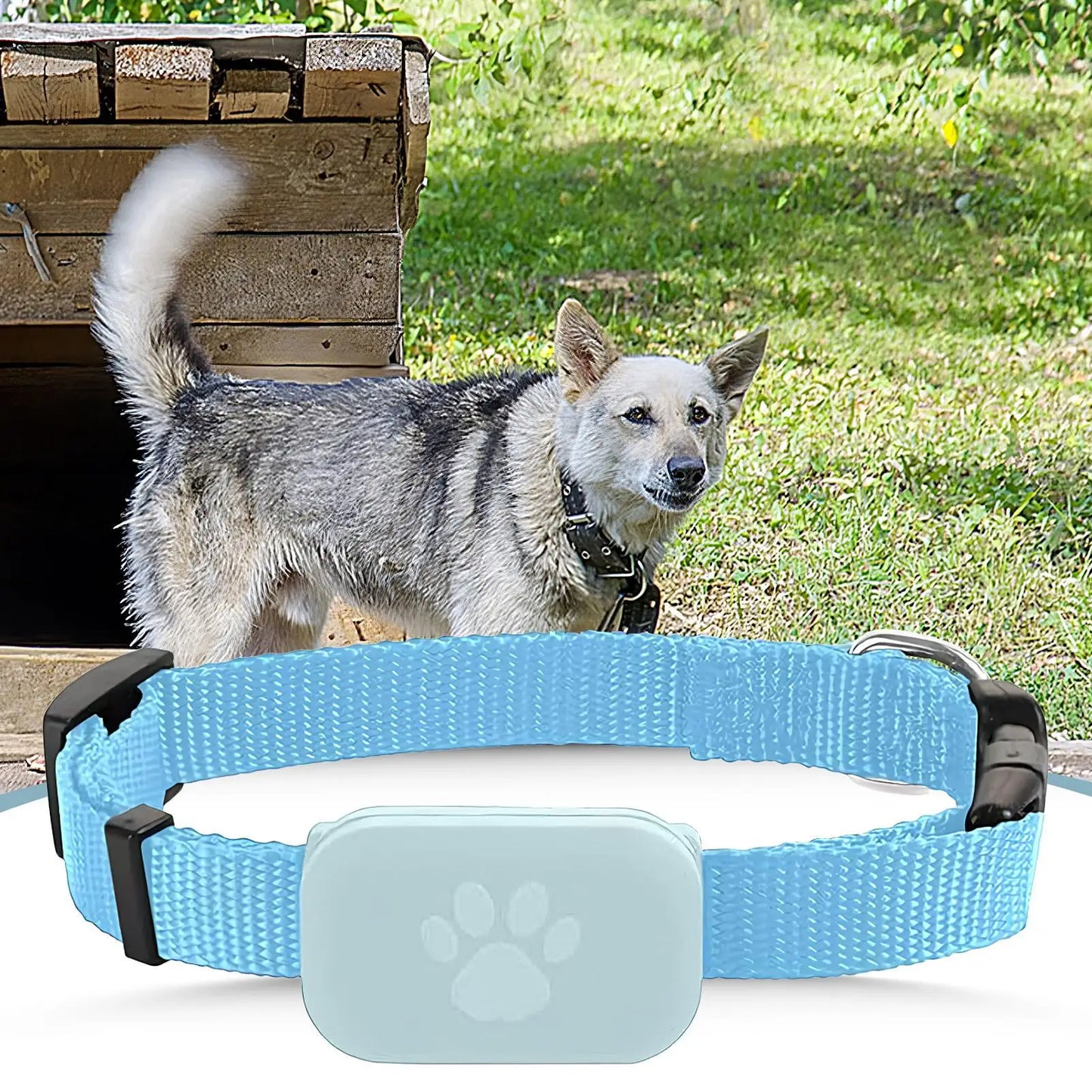 Collier GPS pour chats et chatons avec suivi, protection de sécurité, batterie longue durée, fournitures de localisation pour animaux de compagnie