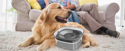 Gamelles flottantes pour chiens et chats, 2 L, anti-éclaboussures, grande capacité, pour petits, moyens et grands chiens.