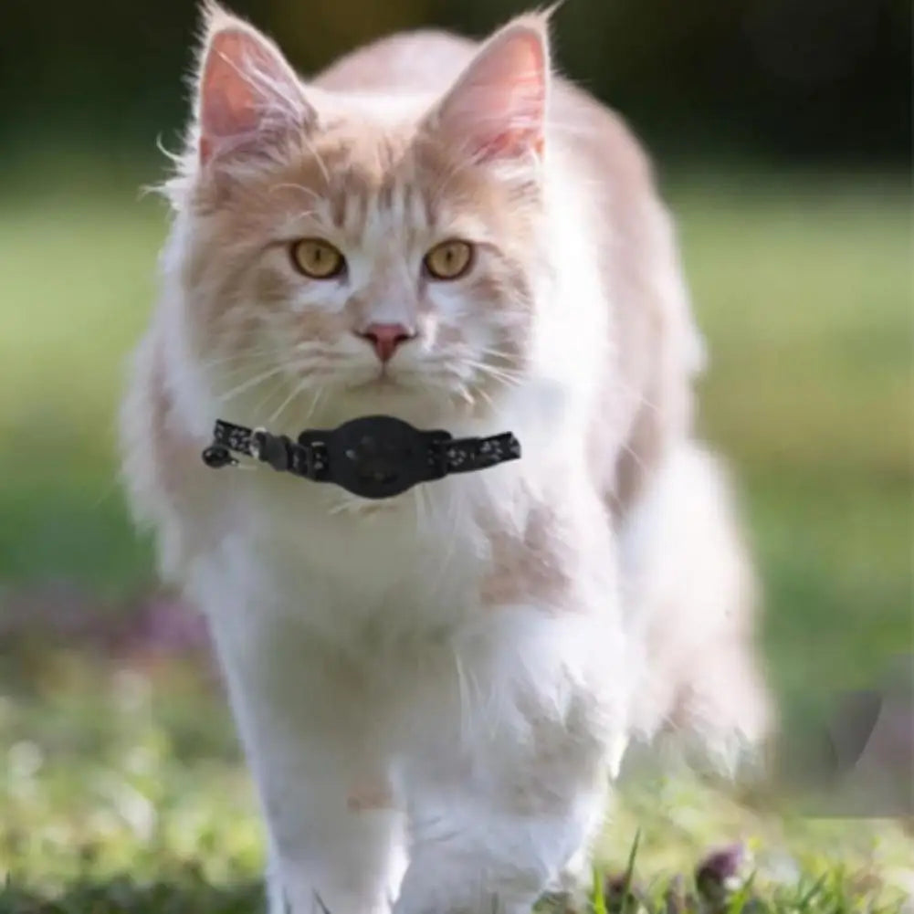 Collier de suivi GPS réfléchissant pour chat, dispositif de localisation pour animaux de compagnie, anti-perte, recherche de chaton, accessoires de suivi étanches