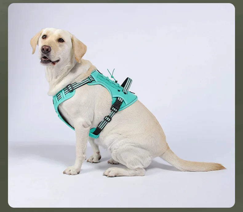 Harnais réfléchissant pour chien, entraînement tactique, anti-traction, gilet pour chien de taille moyenne et grande, laisse de sécurité réglable, harnais militaire pour animaux de compagnie
