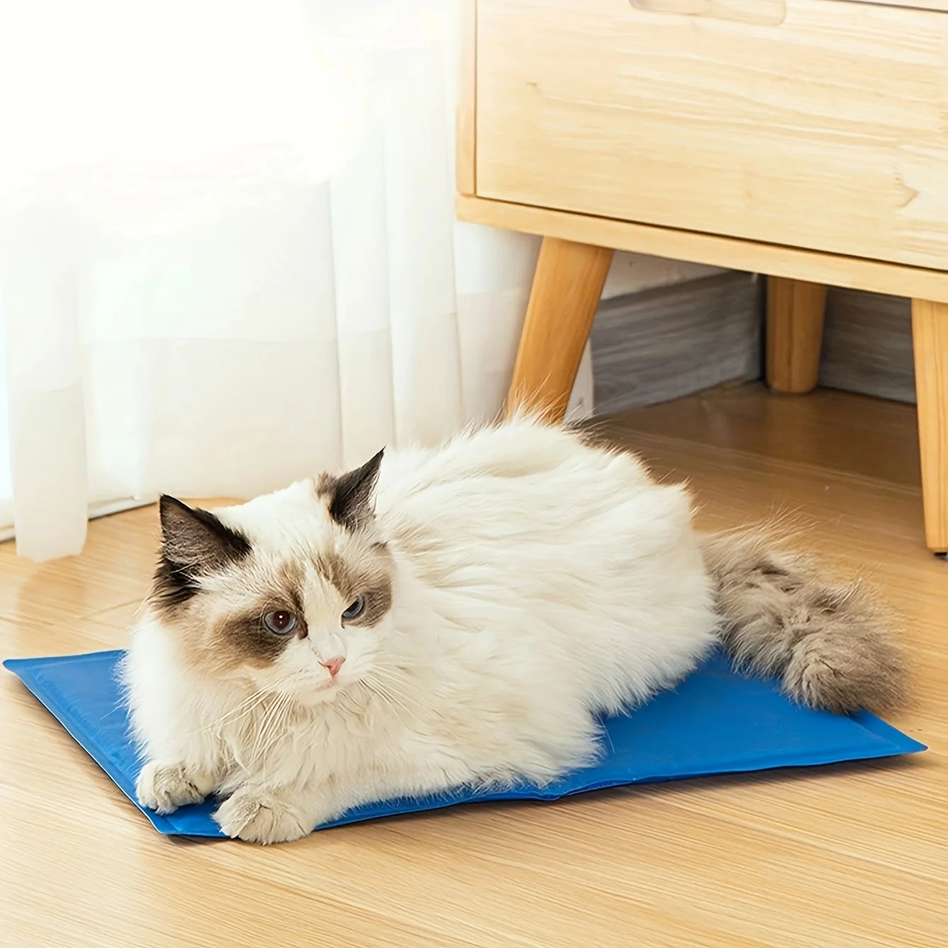 Tapis rafraîchissant pour chien, 1 pièce, coussin auto-rafraîchissant pour soulager la chaleur estivale
