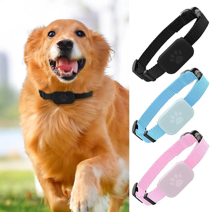 Collier GPS pour chats et chatons avec suivi, protection de sécurité, batterie longue durée, fournitures de localisation pour animaux de compagnie