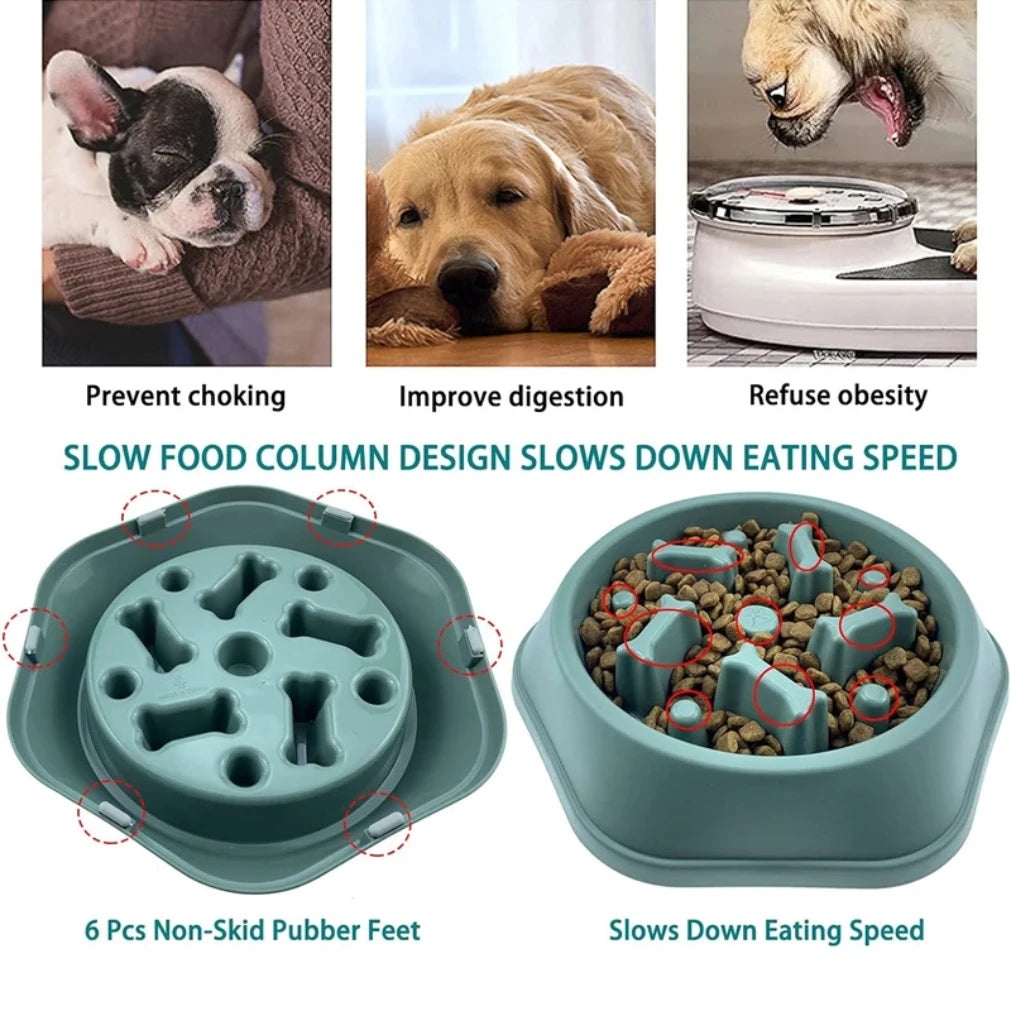 Gamelles à alimentation lente pour chiens, anti-étouffement, antidérapantes, pour petits et moyens chiens.