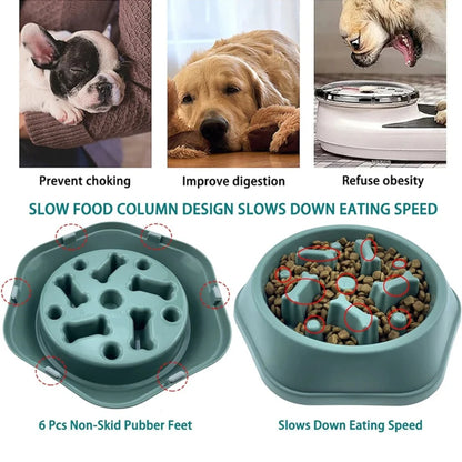 Gamelles à alimentation lente pour chiens, anti-étouffement, antidérapantes, pour petits et moyens chiens.