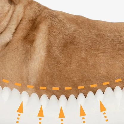 Canapé-lit moderne pour chats et chiens, sac de couchage, niche pour grands chiens, lit de massage, petite maison, lits coussinés, Pet Pro