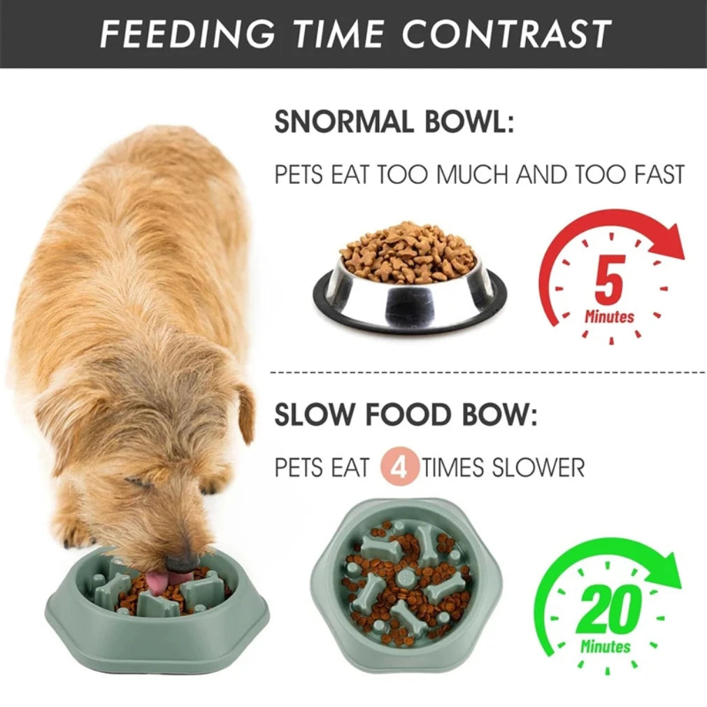 Gamelles à alimentation lente pour chiens, anti-étouffement, antidérapantes, pour petits et moyens chiens.