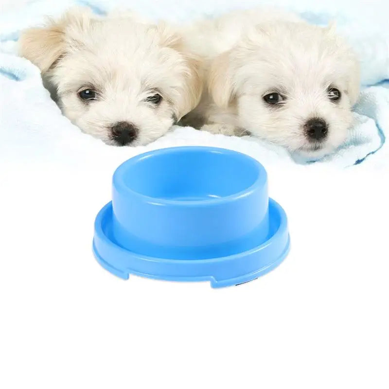Gamelles pour chien et chat, distributeur de nourriture pour animaux de compagnie, mangeoire anti-fourmis et anti-eau, gamelle pour chiots, gamelle d'extérieur en acier inoxydable pour chiens