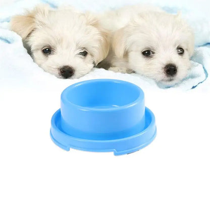 Gamelles pour chien et chat, distributeur de nourriture pour animaux de compagnie, mangeoire anti-fourmis et anti-eau, gamelle pour chiots, gamelle d'extérieur en acier inoxydable pour chiens