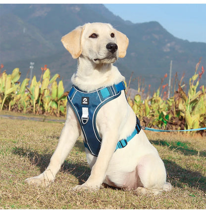 Ensemble harnais et laisse pour chien résistants, sangle réfléchissante, sangles de poitrine et de dos réglables, équipement de sécurité pour animaux | Harnais réglable pour chien