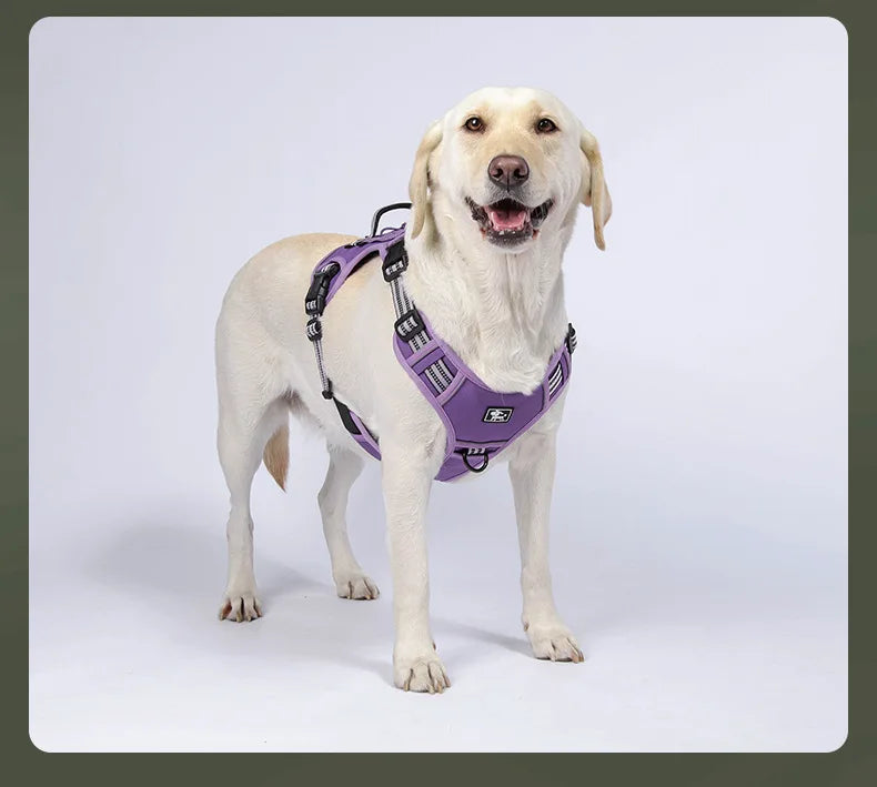 Harnais réfléchissant pour chien, entraînement tactique, anti-traction, gilet pour chien de taille moyenne et grande, laisse de sécurité réglable, harnais militaire pour animaux de compagnie