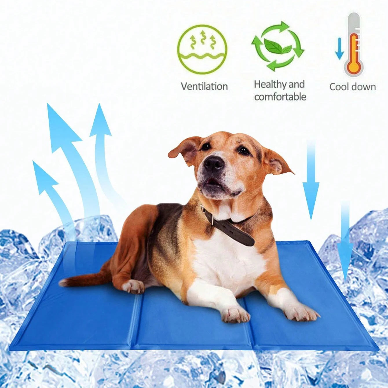 Tapis rafraîchissant pour chien, 1 pièce, coussin auto-rafraîchissant pour soulager la chaleur estivale