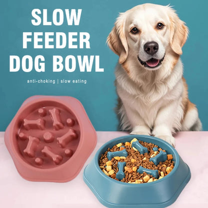 Gamelles à alimentation lente pour chiens, anti-étouffement, antidérapantes, pour petits et moyens chiens.