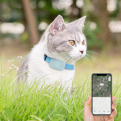 Collier GPS pour chats et chatons avec suivi, protection de sécurité, batterie longue durée, fournitures de localisation pour animaux de compagnie