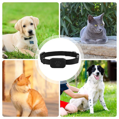 Collier GPS pour chats et chatons avec suivi, protection de sécurité, batterie longue durée, fournitures de localisation pour animaux de compagnie